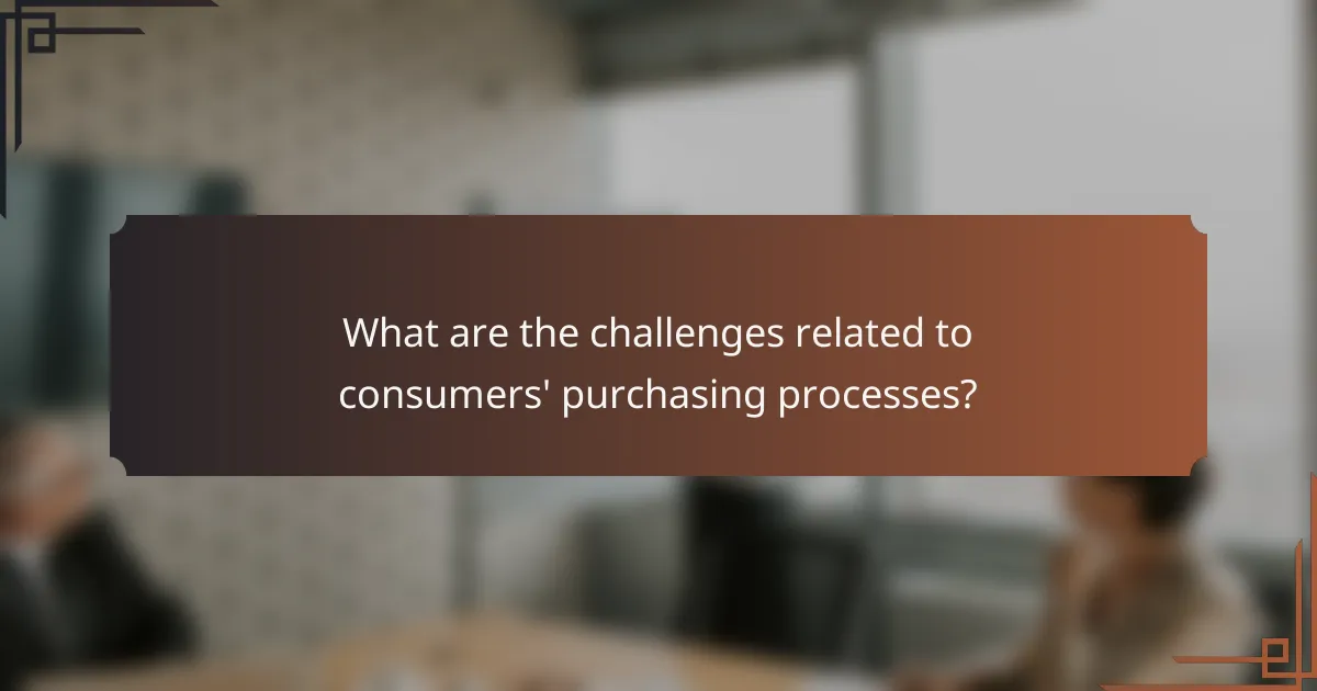 What are the challenges related to consumers' purchasing processes?