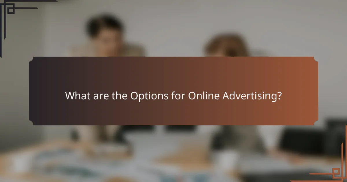 What are the Options for Online Advertising?